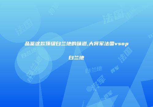 品鉴这款顶级白兰地的味道,大将军法国vsop白兰地