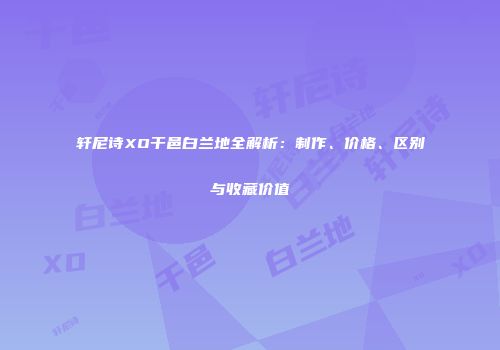 轩尼诗XO干邑白兰地全解析：制作、价格、区别与收藏价值
