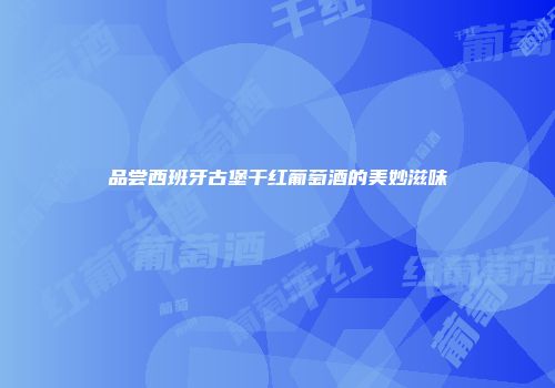 品尝西班牙古堡干红葡萄酒的美妙滋味