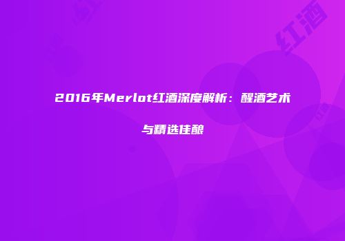 2016年Merlot红酒深度解析：醒酒艺术与精选佳酿