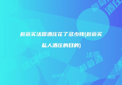 赵薇买法国酒庄花了多少钱(赵薇买私人酒庄的目的)