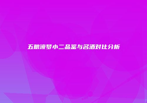 五粮液梦小二品鉴与名酒对比分析
