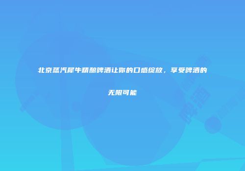北京蒸汽犀牛精酿啤酒让你的口感绽放，享受啤酒的无限可能