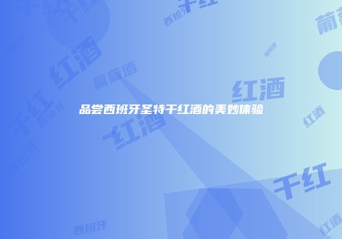 品尝西班牙圣特干红酒的美妙体验