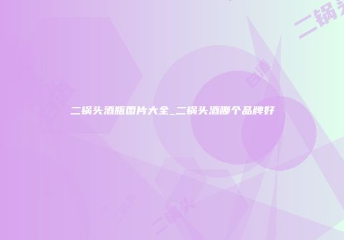 二锅头酒瓶图片大全_二锅头酒哪个品牌好
