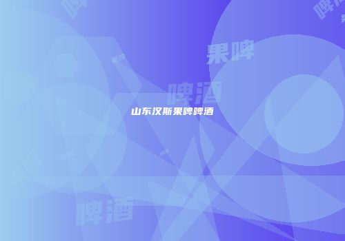 山东汉斯果啤啤酒