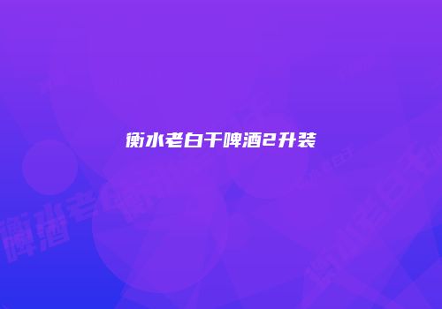 衡水老白干啤酒2升装