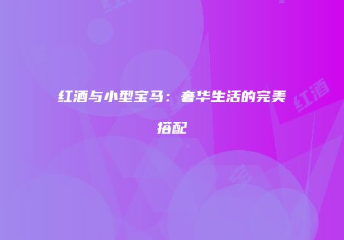 红酒与小型宝马：奢华生活的完美搭配