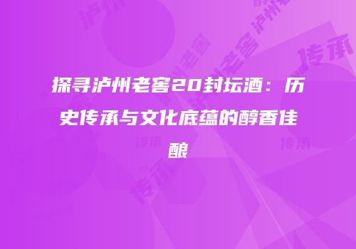 探寻泸州老窖20封坛酒：历史传承与文化底蕴的醇香佳酿