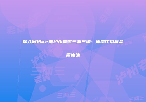深入解析42度泸州老窖三两三酒：适量饮用与品质体验