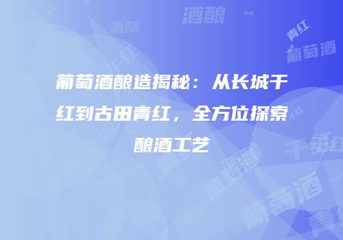 葡萄酒酿造揭秘：从长城干红到古田青红，全方位探索酿酒工艺