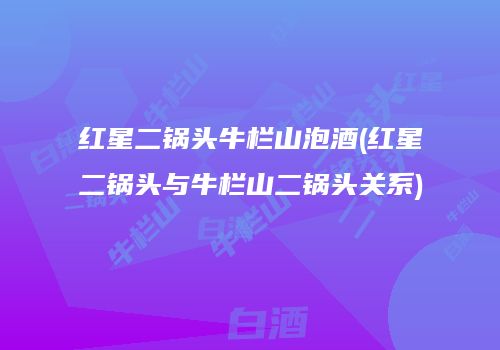 红星二锅头牛栏山泡酒(红星二锅头与牛栏山二锅头关系)