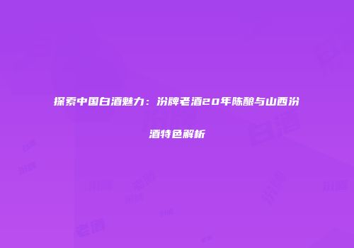 探索中国白酒魅力：汾牌老酒20年陈酿与山西汾酒特色解析