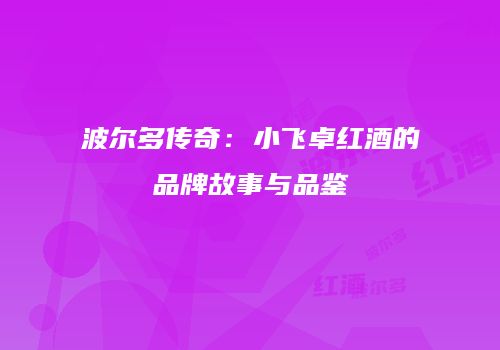 波尔多传奇：小飞卓红酒的品牌故事与品鉴
