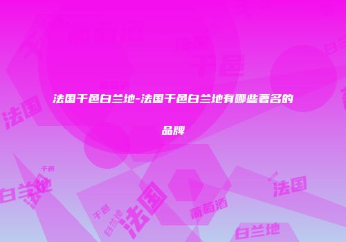 法国干邑白兰地-法国干邑白兰地有哪些著名的品牌