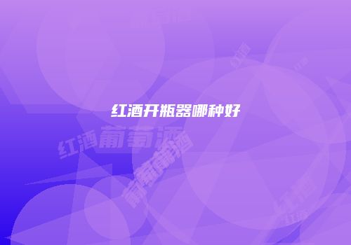 红酒开瓶器哪种好