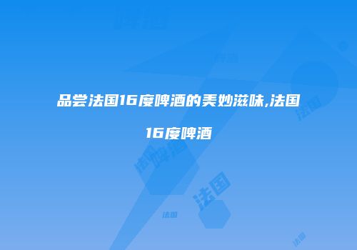 品尝法国16度啤酒的美妙滋味,法国16度啤酒