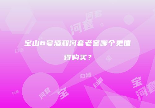 宝山6号酒和河套老窖哪个更值得购买？