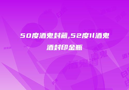 50度酒鬼封藏,52度1l酒鬼酒封印金瓶