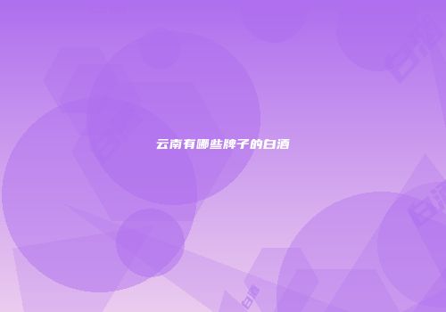 云南有哪些牌子的白酒