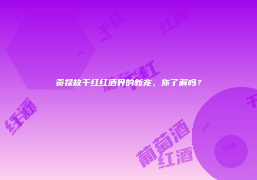 贡禄枚干红红酒界的新宠，你了解吗？
