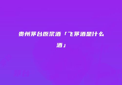 贵州茅台原浆酒「飞茅酒是什么酒」