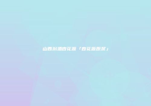 山西汾酒杏花源「杏花源原浆」