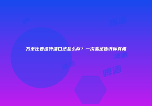 万奈仕普通啤酒口感怎么样？一次品鉴告诉你真相