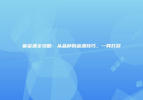 葡萄酒全攻略：从品种到品酒技巧，一网打尽