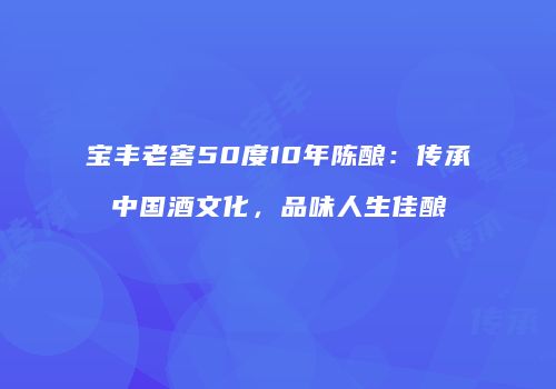 宝丰老窖50度10年陈酿：传承中国酒文化，品味人生佳酿