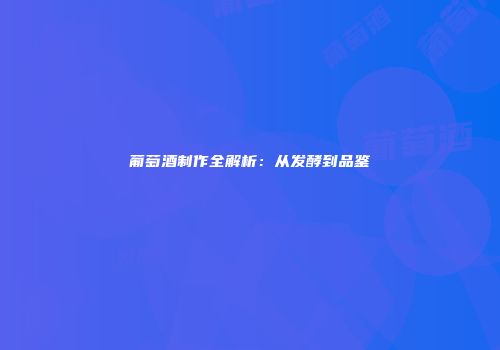 葡萄酒制作全解析：从发酵到品鉴