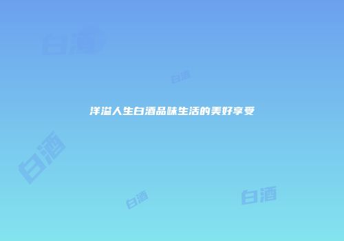 洋溢人生白酒品味生活的美好享受