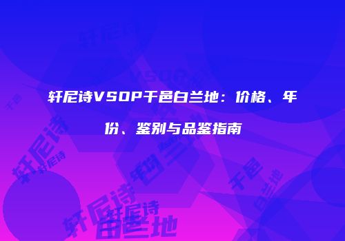 轩尼诗VSOP干邑白兰地：价格、年份、鉴别与品鉴指南