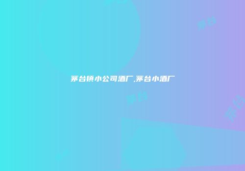 茅台镇小公司酒厂,茅台小酒厂