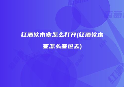 红酒软木塞怎么打开(红酒软木塞怎么塞进去)