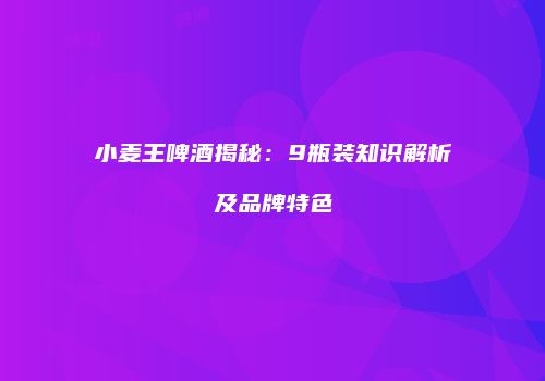 小麦王啤酒揭秘：9瓶装知识解析及品牌特色