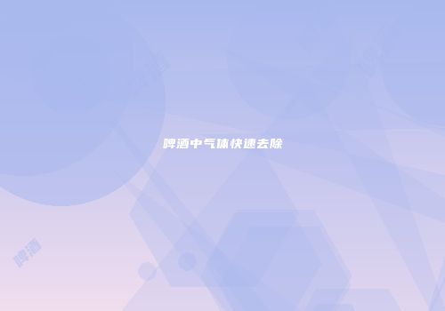 啤酒中气体快速去除