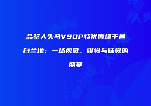 品鉴人头马VSOP特优香槟干邑白兰地：一场视觉、嗅觉与味觉的盛宴