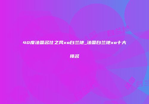 40度法国名仕之风xo白兰地_法国白兰地xo十大排名