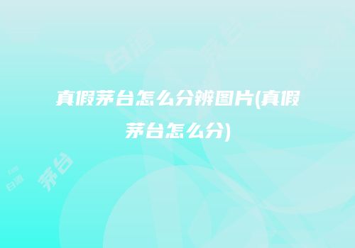 真假茅台怎么分辨图片(真假茅台怎么分)