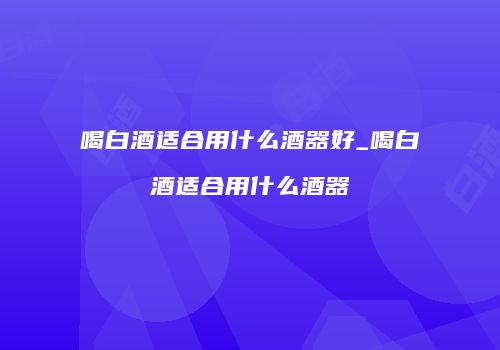 喝白酒适合用什么酒器好_喝白酒适合用什么酒器