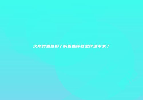 汉斯啤酒百科了解这些你就是啤酒专家了