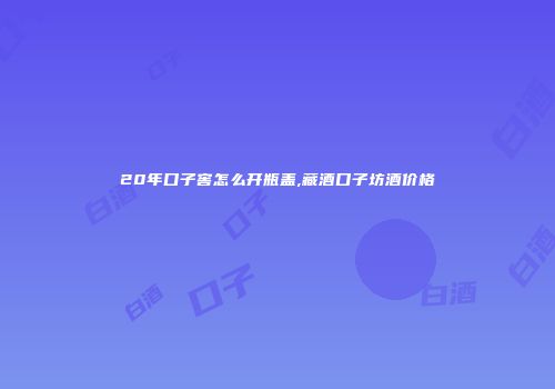 20年口子窖怎么开瓶盖,藏酒口子坊酒价格