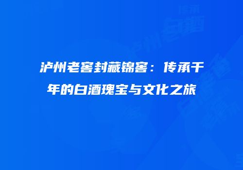 泸州老窖封藏锦窖：传承千年的白酒瑰宝与文化之旅
