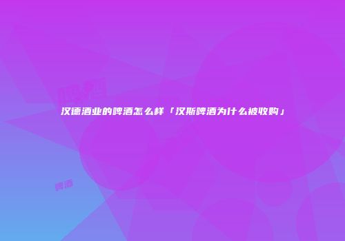 汉德酒业的啤酒怎么样「汉斯啤酒为什么被收购」
