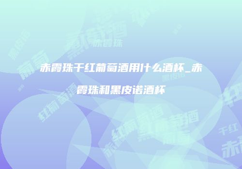赤霞珠干红葡萄酒用什么酒杯_赤霞珠和黑皮诺酒杯