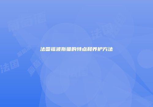 法国福波斯猫的特点和养护方法