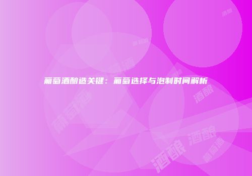 葡萄酒酿造关键：葡萄选择与泡制时间解析