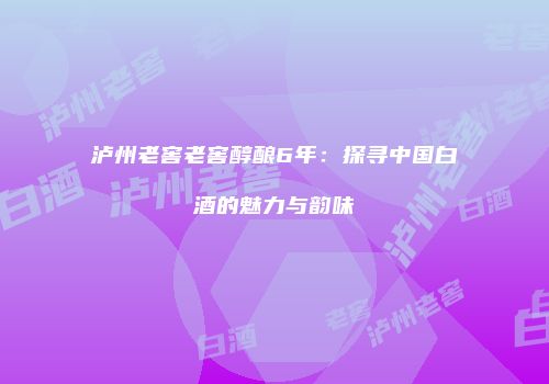 泸州老窖老窖醇酿6年：探寻中国白酒的魅力与韵味