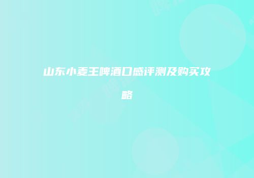 山东小麦王啤酒口感评测及购买攻略